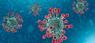 coronavirus.jpg