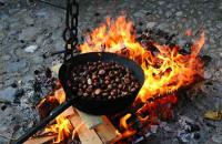 castagne.jpg